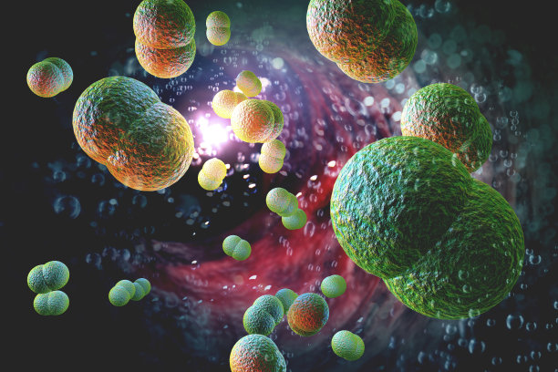bacteria