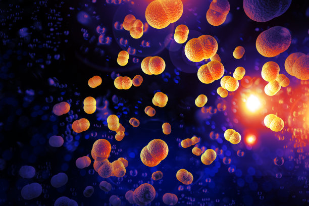 bacteria