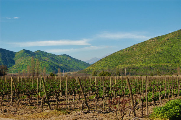 chile