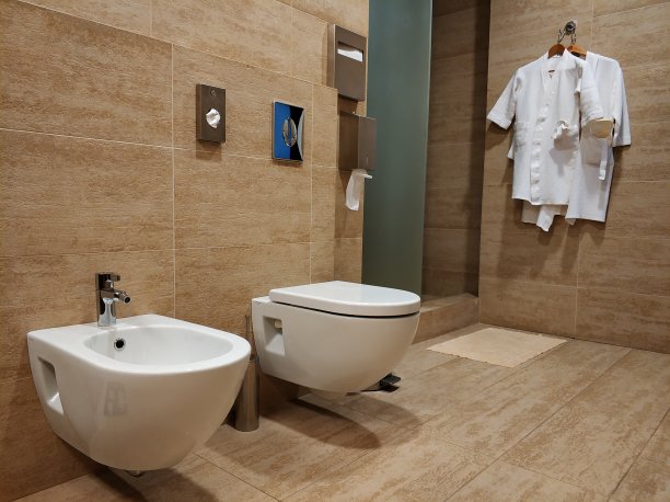 bidet