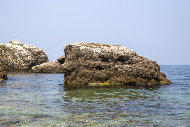 鲜海带丝