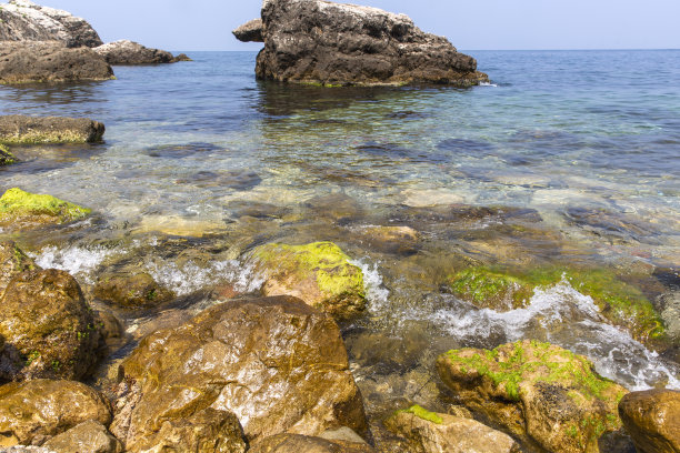 鲜海带丝