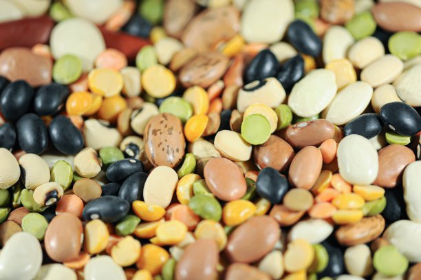 legume