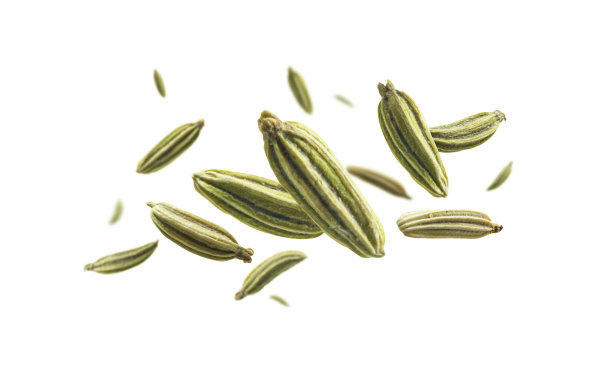 fennel