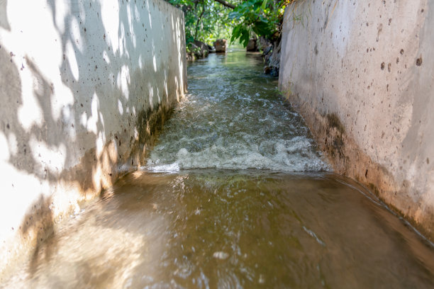 ditch