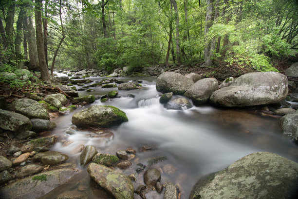 shenandoah