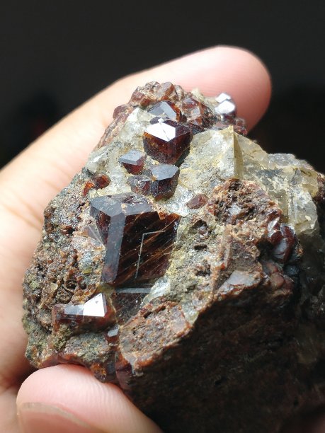 garnet