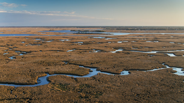 delta