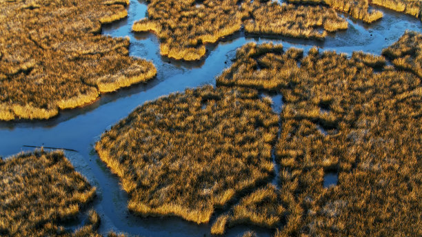 delta