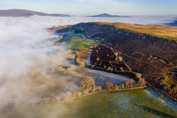 powys