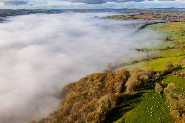 powys