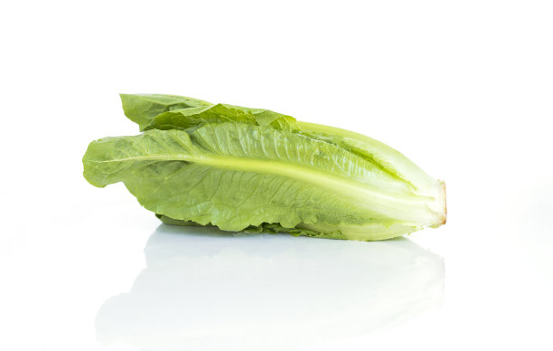 romaine