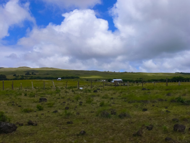 anglesea