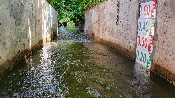 ditch