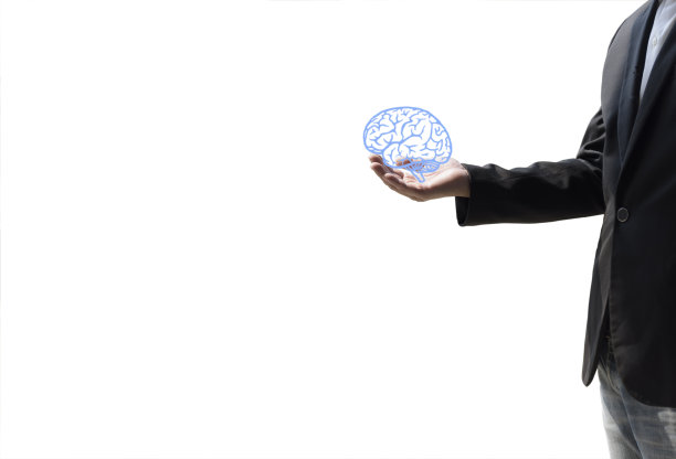 medulla