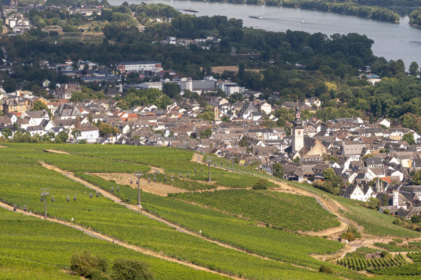 rudesheim