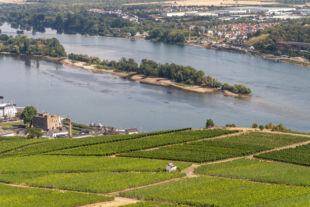 rudesheim