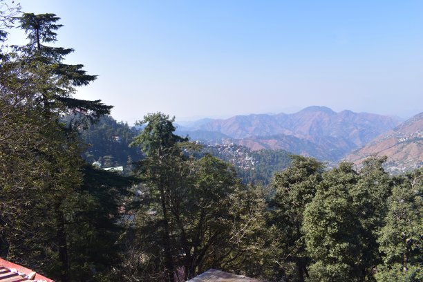 simla