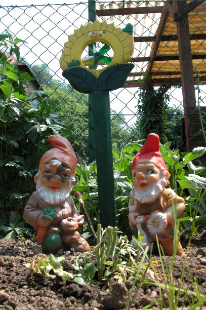 gnome
