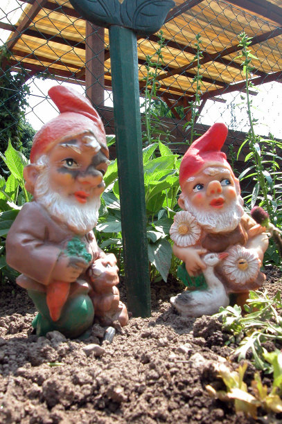 gnome