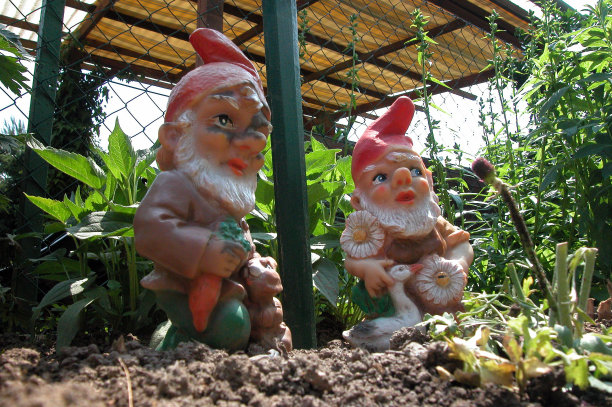 gnome