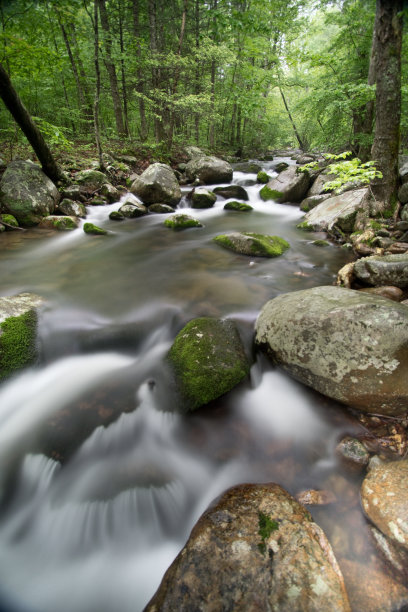 shenandoah