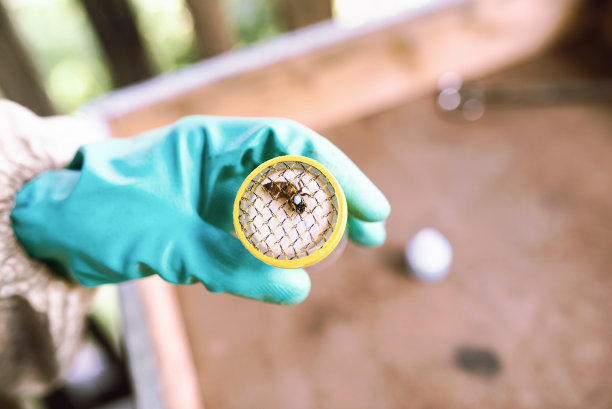 beekeeper