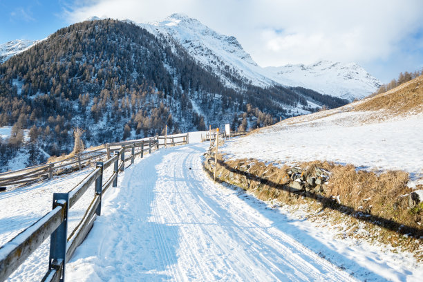 guarda