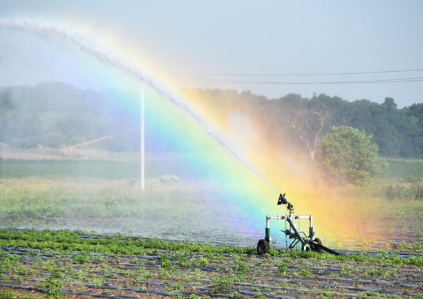 sprinkler