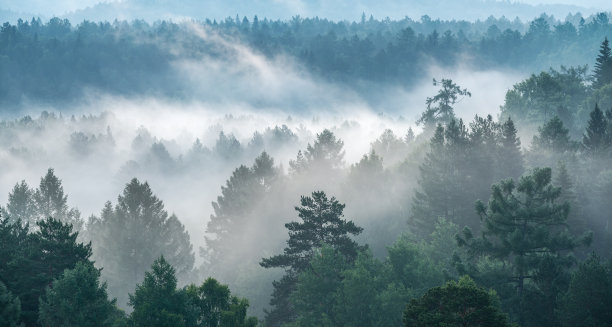 misty