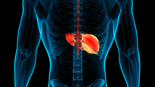 什么是病毒性肝炎