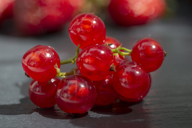 redcurrant