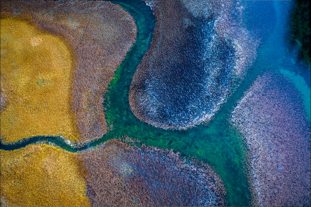 marsh