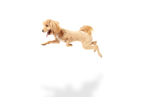 leaping