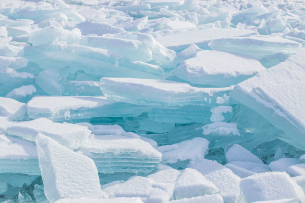arctic
