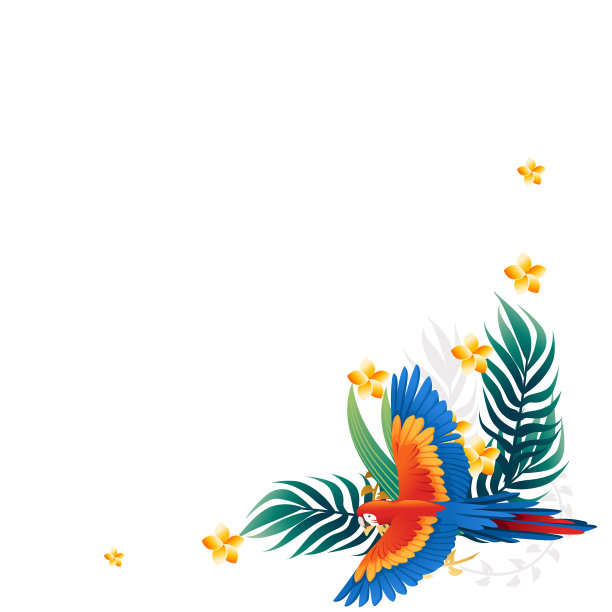 macaws