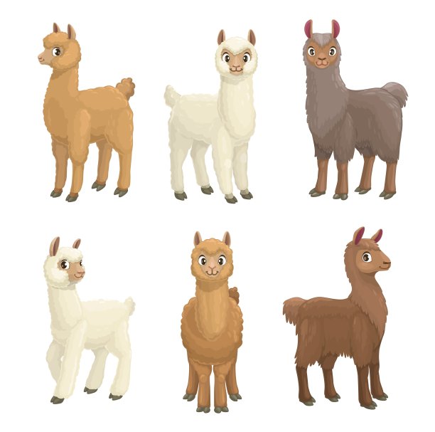 alpaca