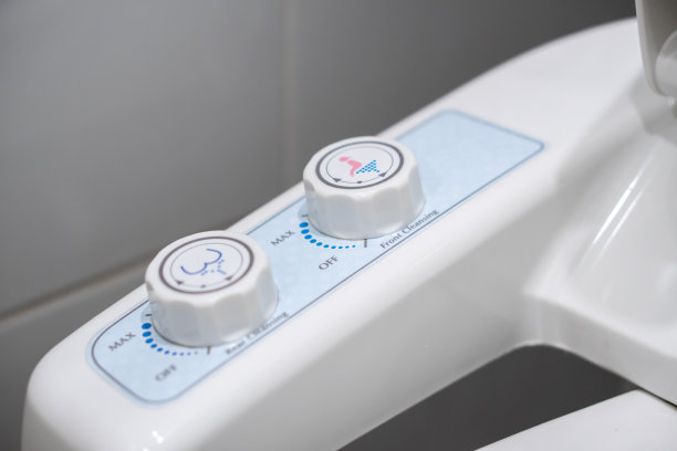 bidet