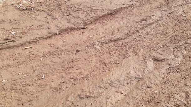 mud