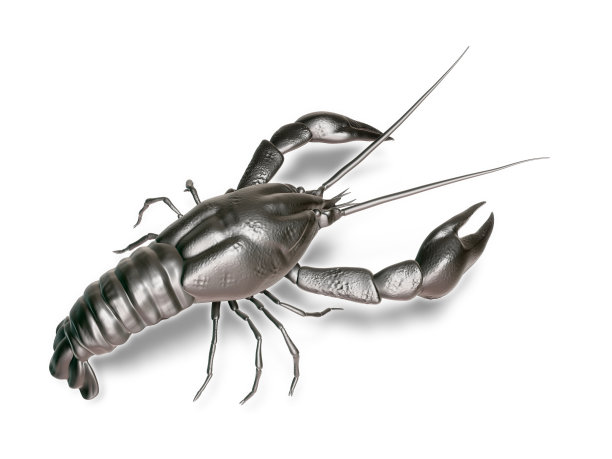 无脊椎动物标志