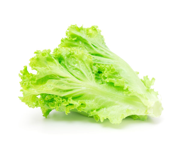 romaine