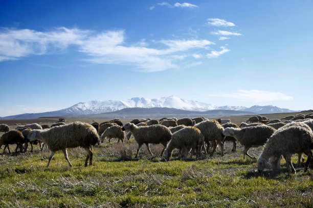 anatolia