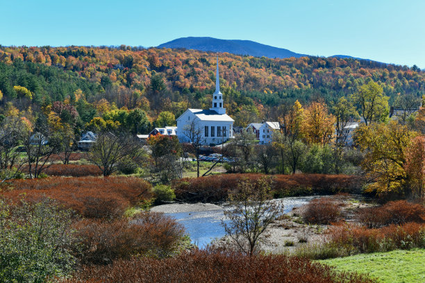 vt