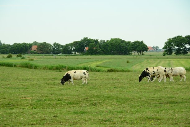 drenthe