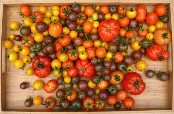 abundance