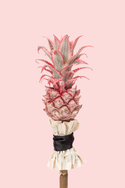 热带植物水果图案 夏季女装印花