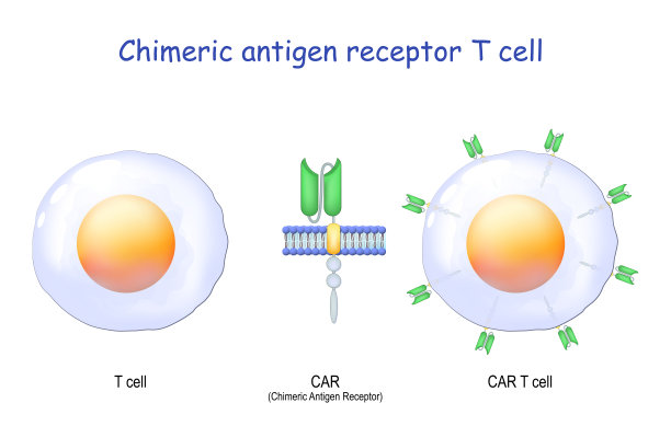 cd4