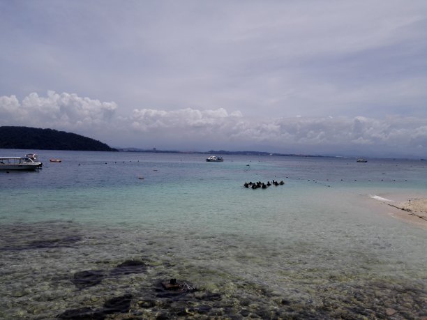 sapi
