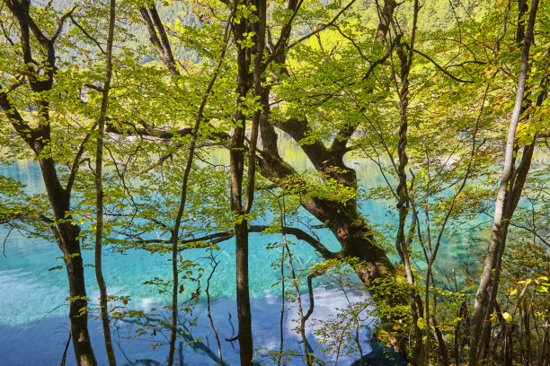 四川九寨沟秋冬景色