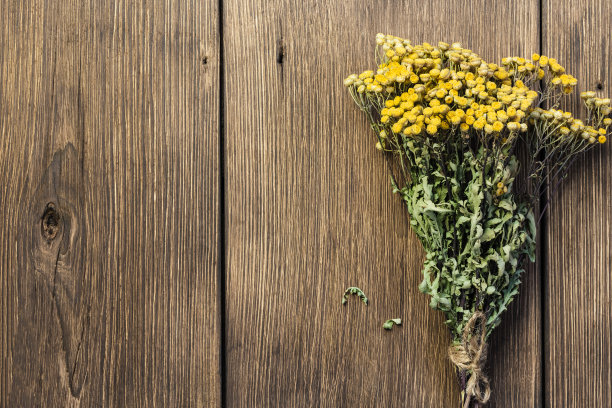 tanacetum